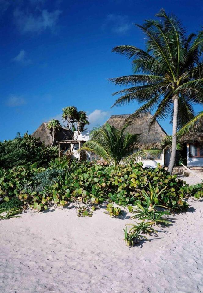 Hotel Casa Violeta Tulum Exteriér fotografie