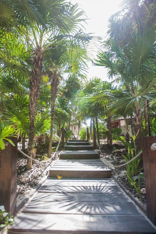 Hotel Casa Violeta Tulum Exteriér fotografie