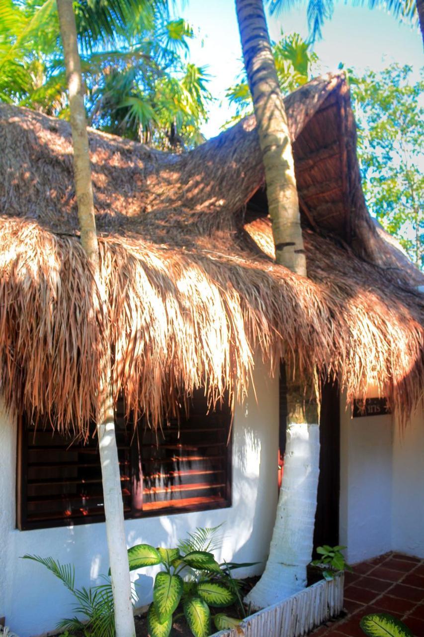 Hotel Casa Violeta Tulum Exteriér fotografie