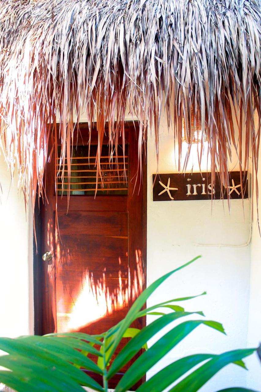 Hotel Casa Violeta Tulum Exteriér fotografie