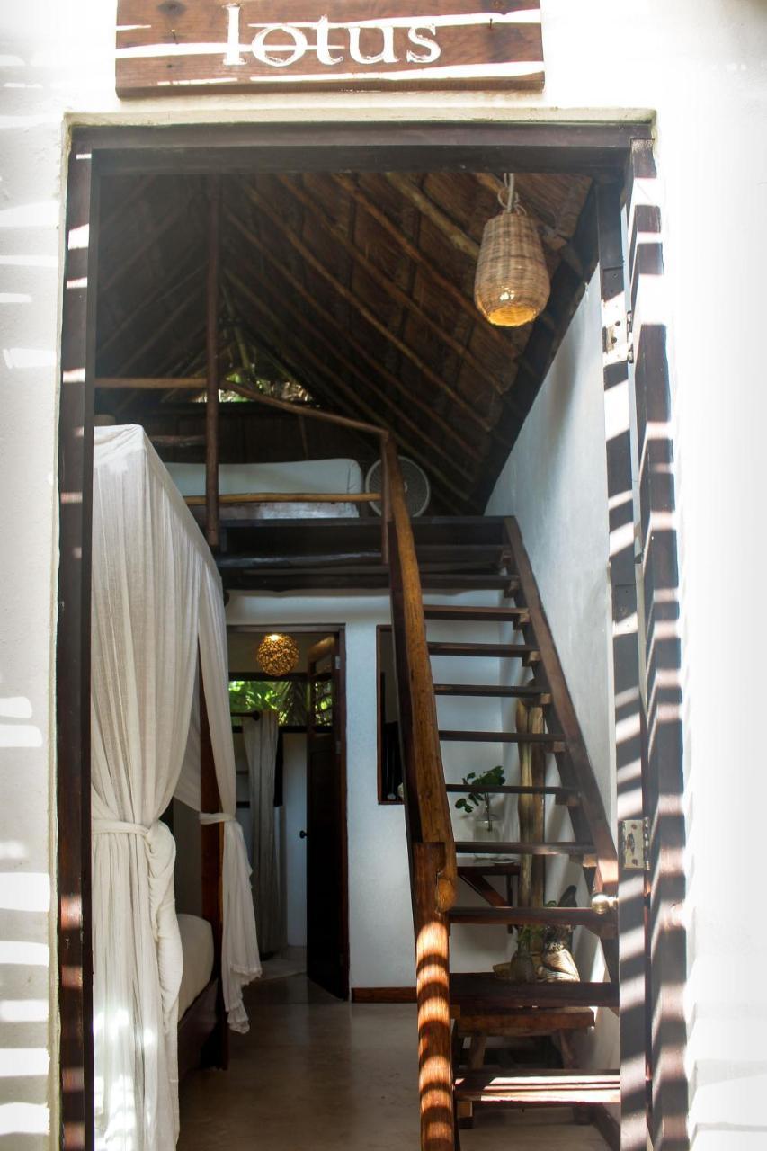Hotel Casa Violeta Tulum Exteriér fotografie